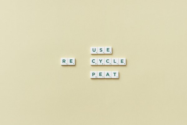 Quels défis les entreprises doivent-elles relever face à l'évolution numérique ?